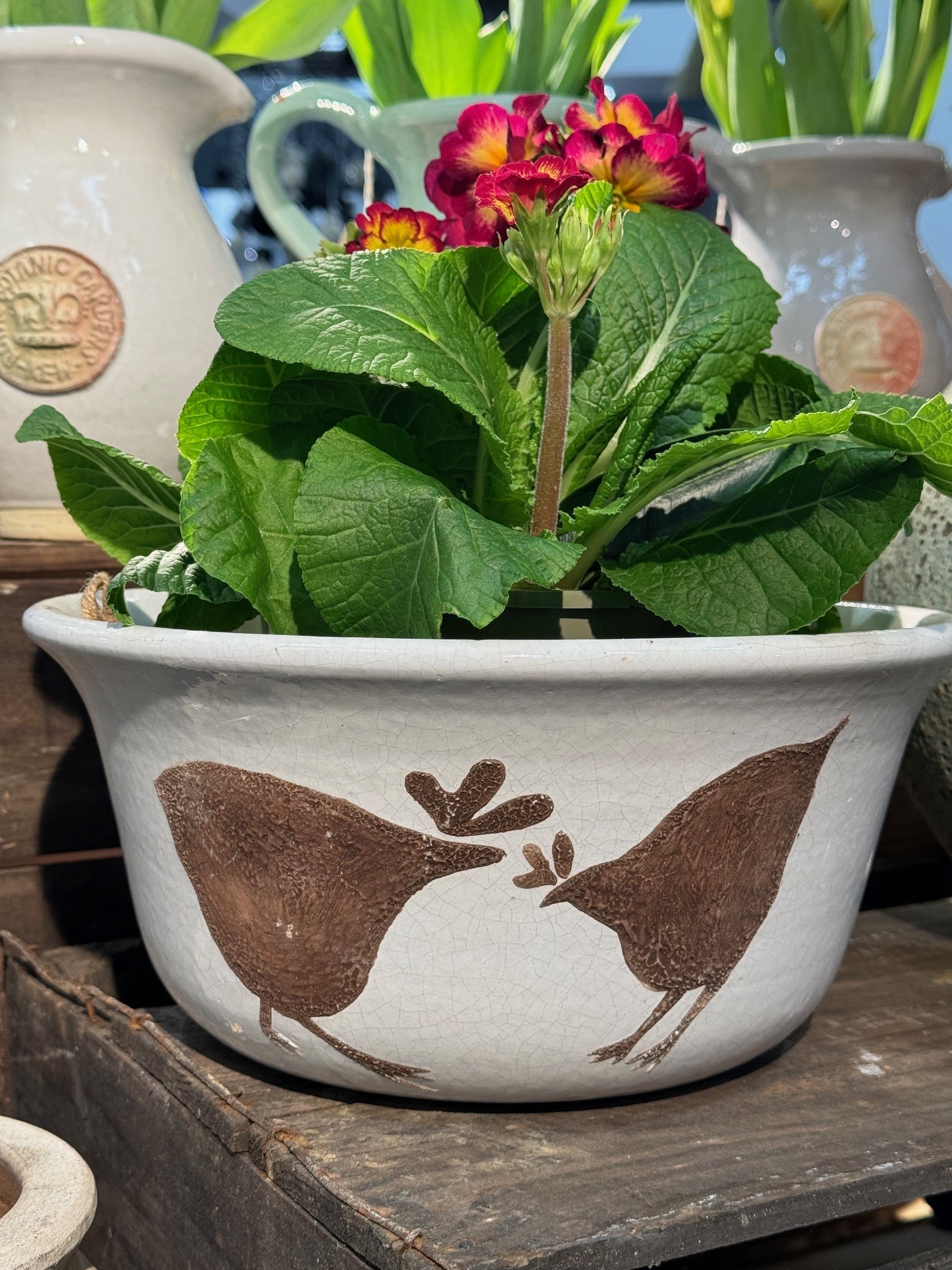 ORIGINAL HANDMADE POTS - Casa Verde